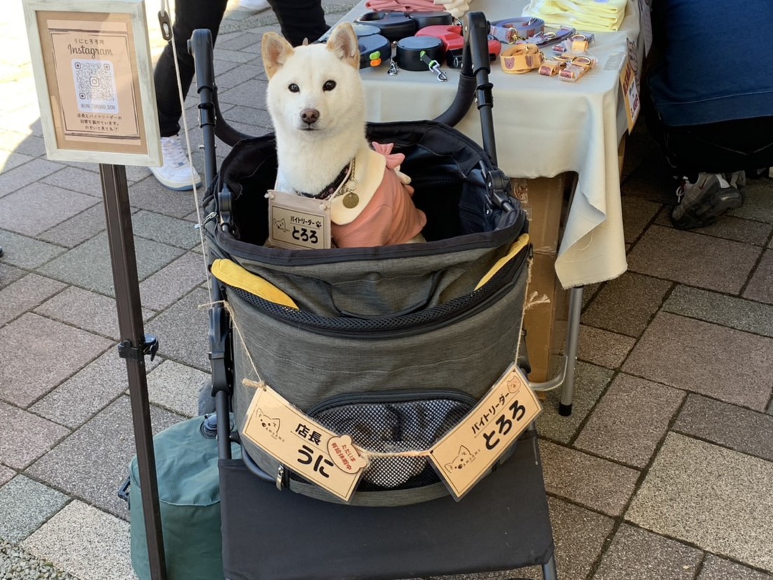 土岐市犬祭り