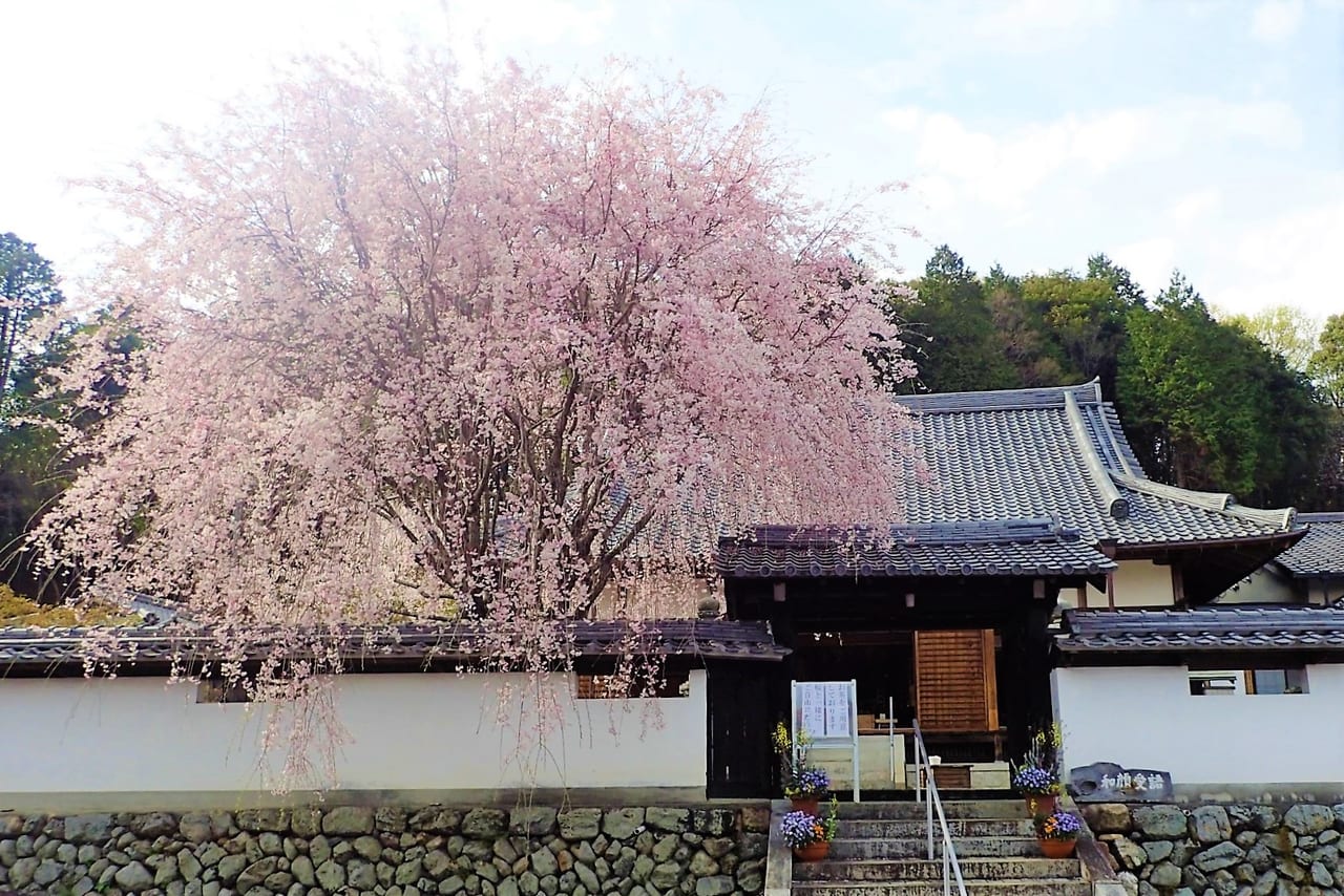 少林寺