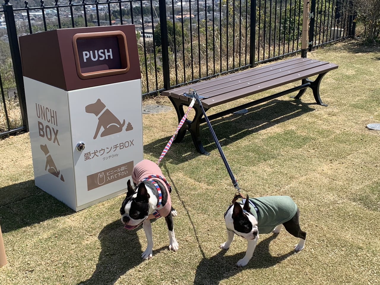 土岐市プレミアムアウトレット犬