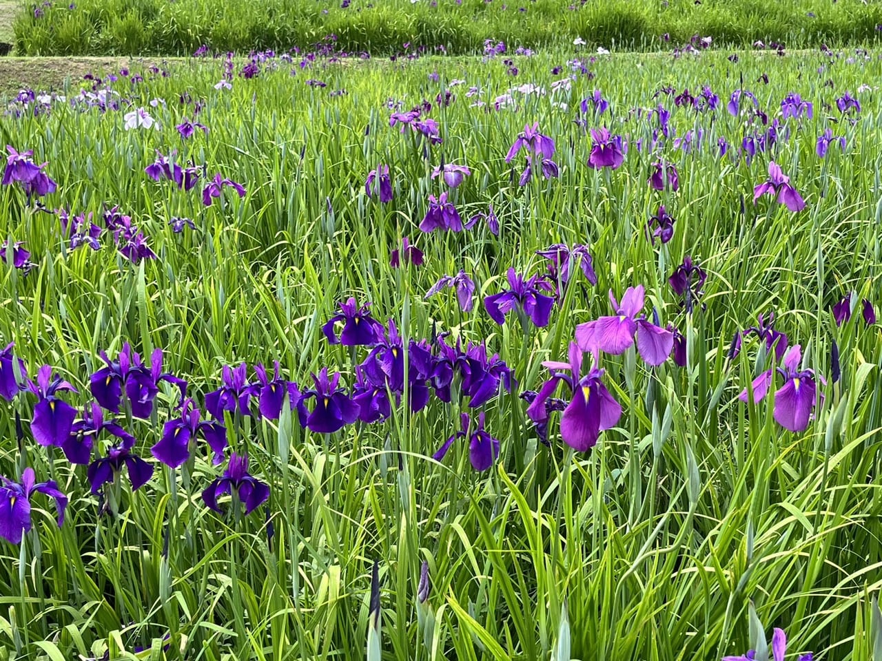 土岐市織部の里公園