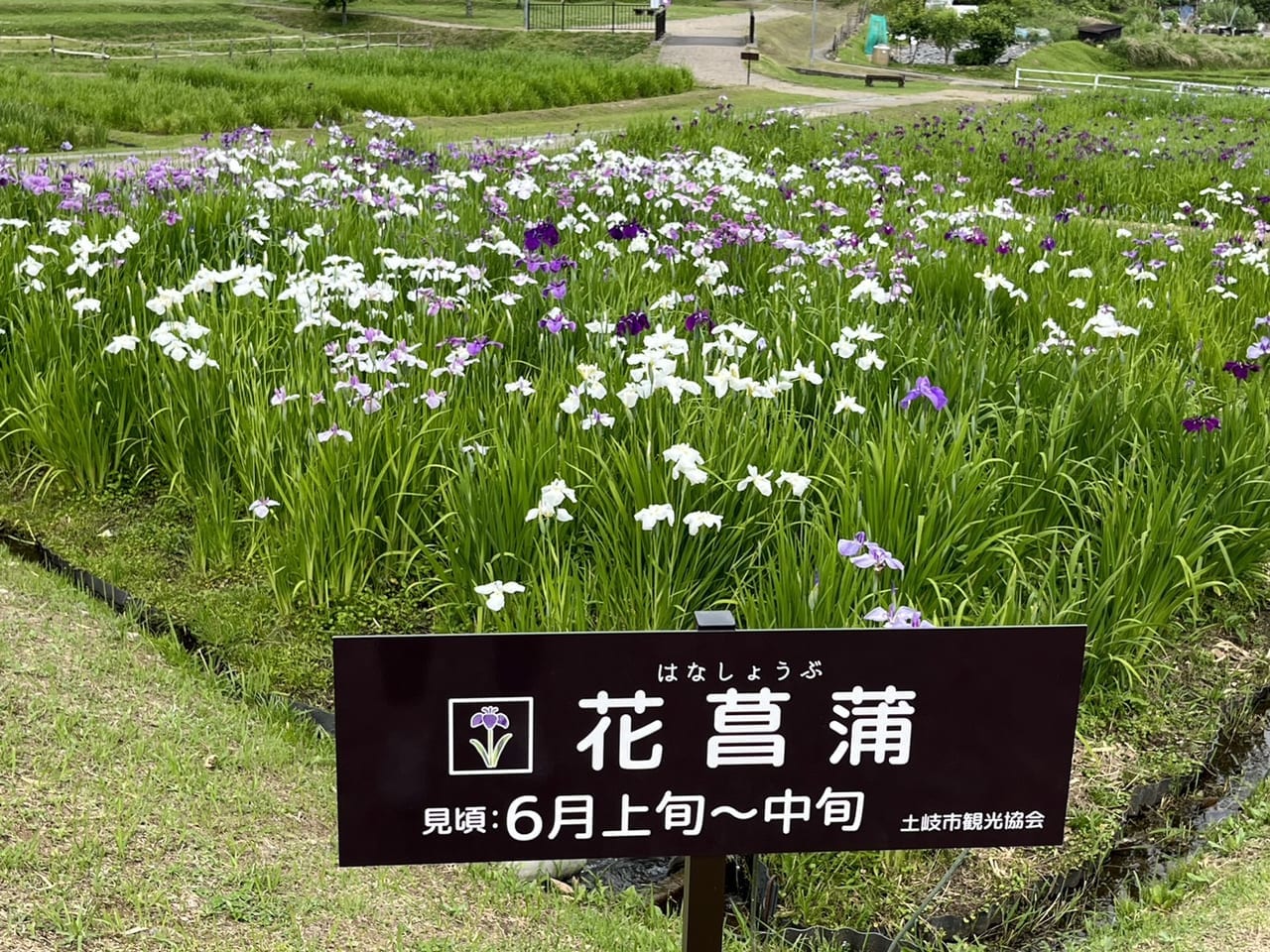 土岐市織部の里公園