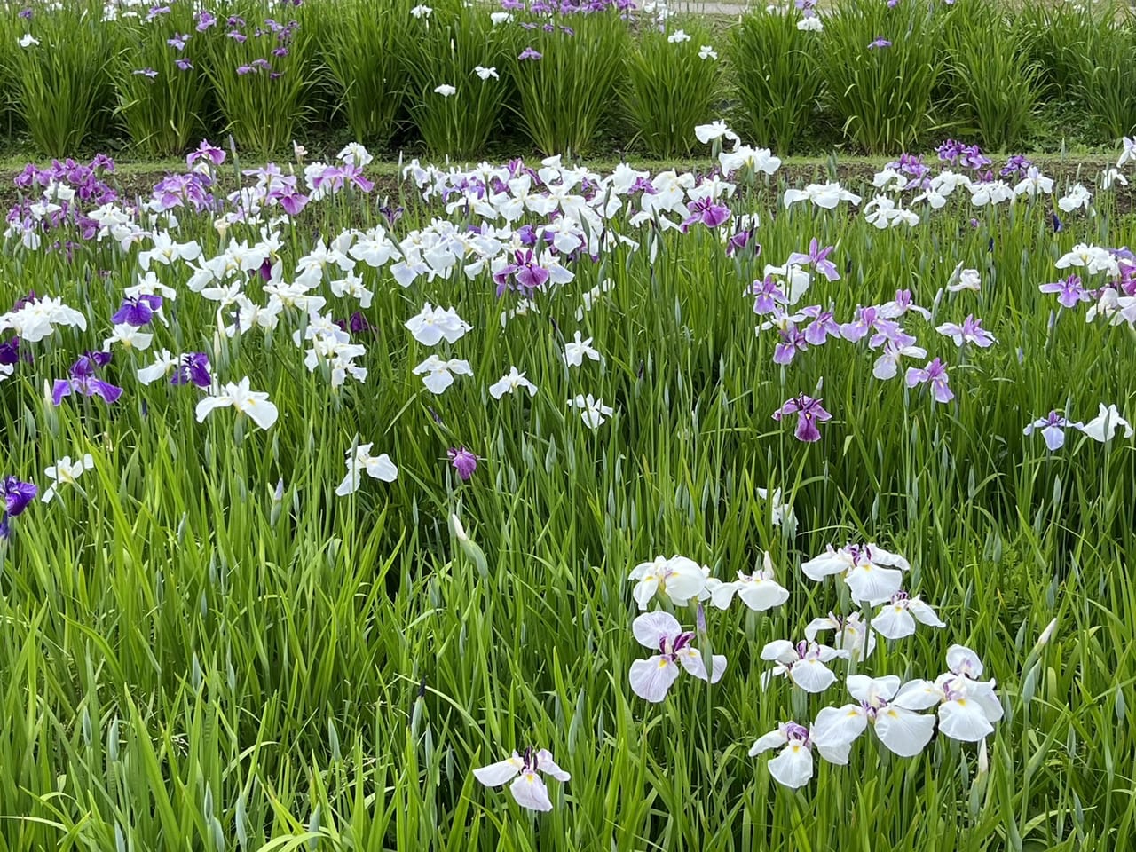 土岐市織部の里公園