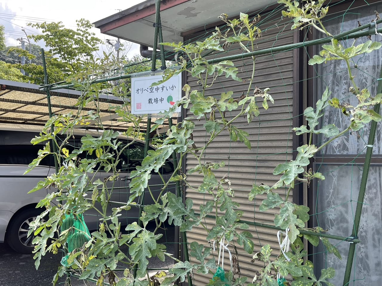 多治見市暑い街