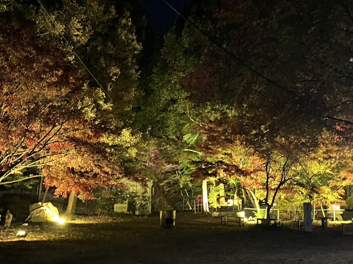 多治見市生田紅葉