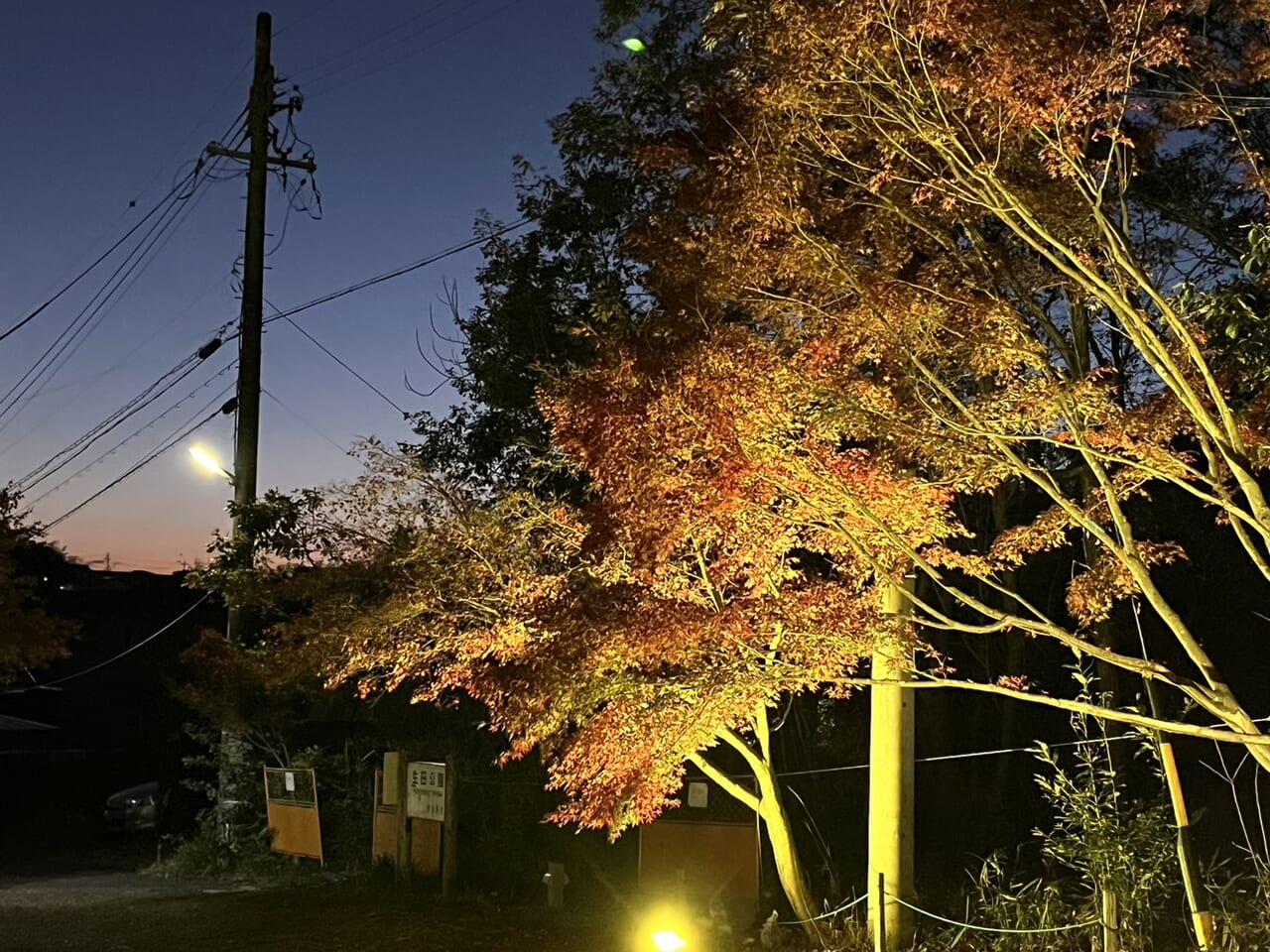 多治見市生田紅葉