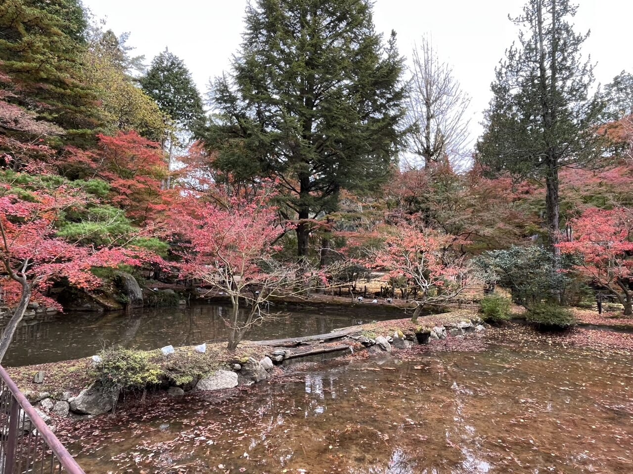 土岐市曾木公園