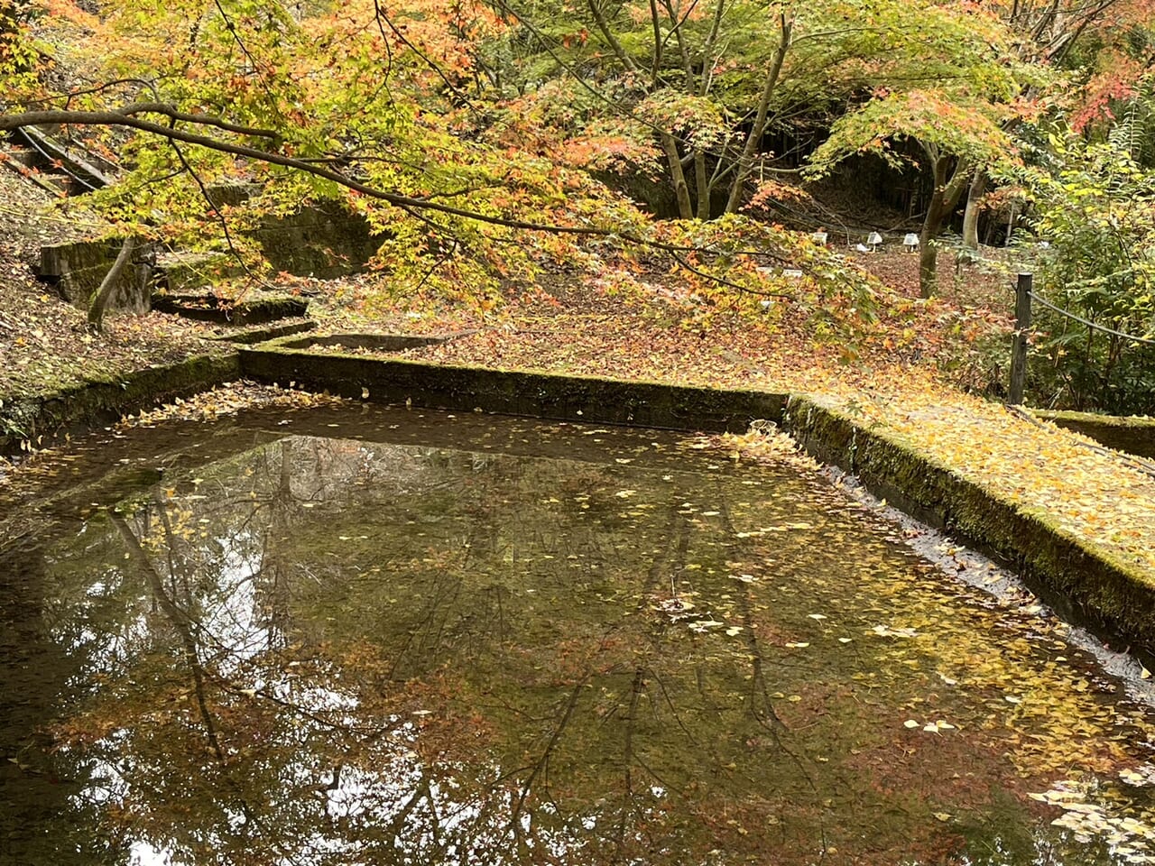 土岐市曾木公園