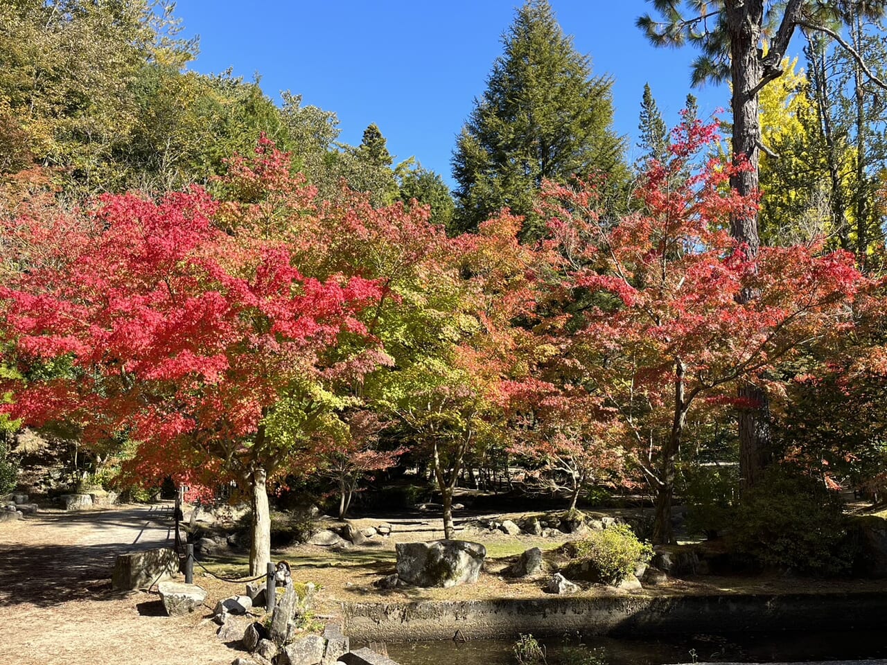 土岐市曾木公園