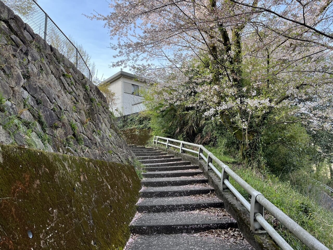 多治見市こんぴらさん