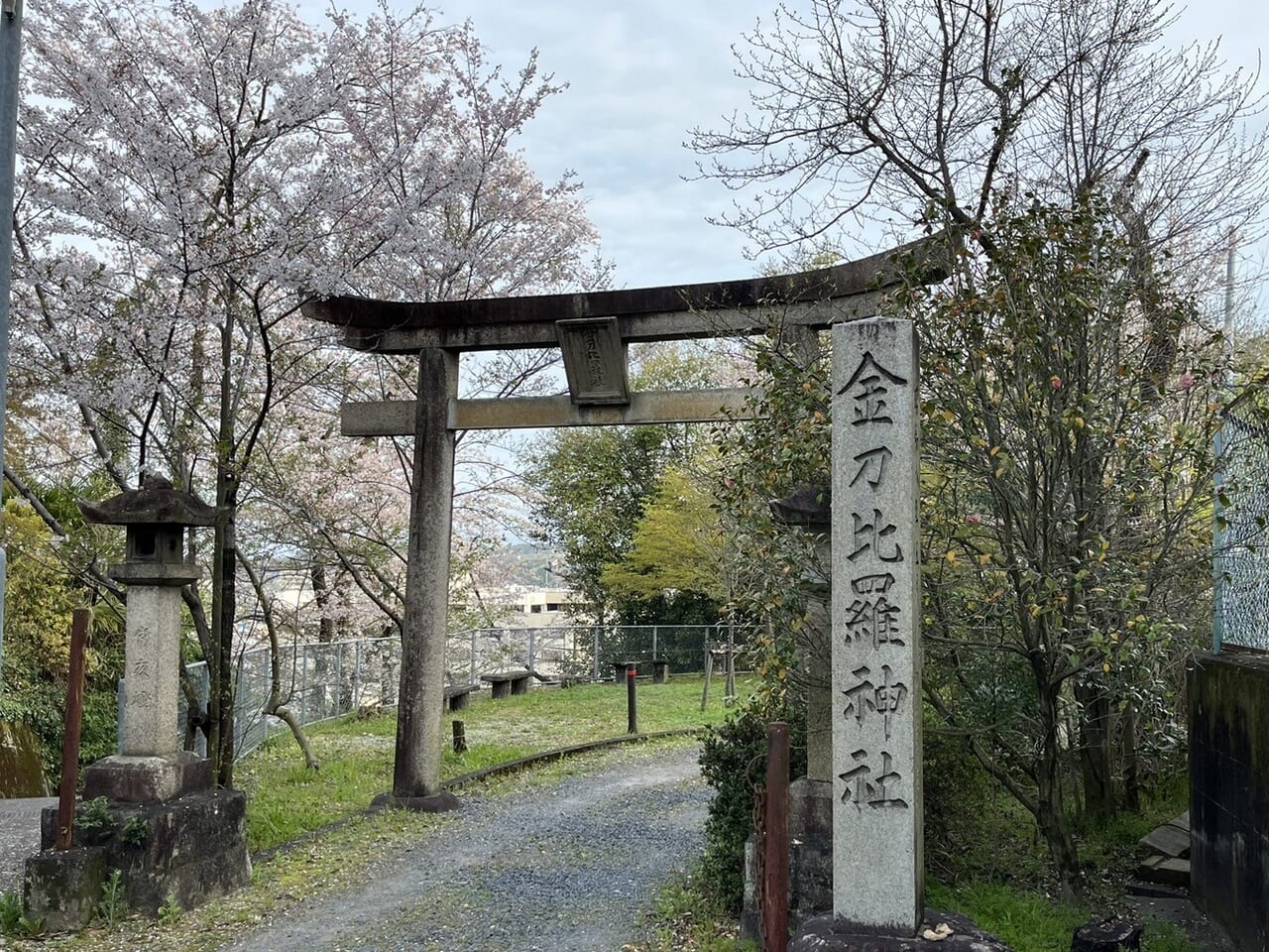 多治見市こんぴらさん