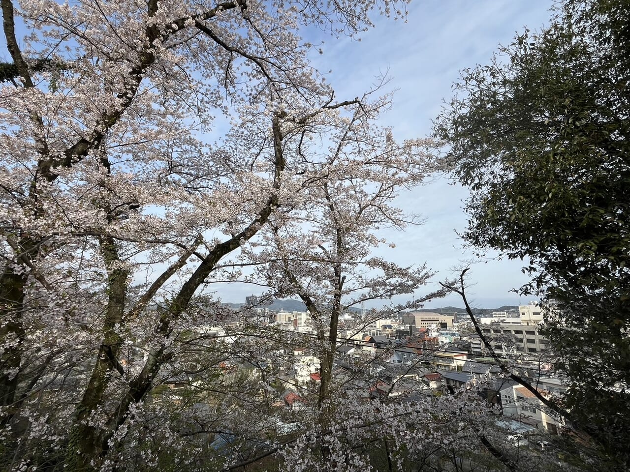 多治見市こんぴらさん