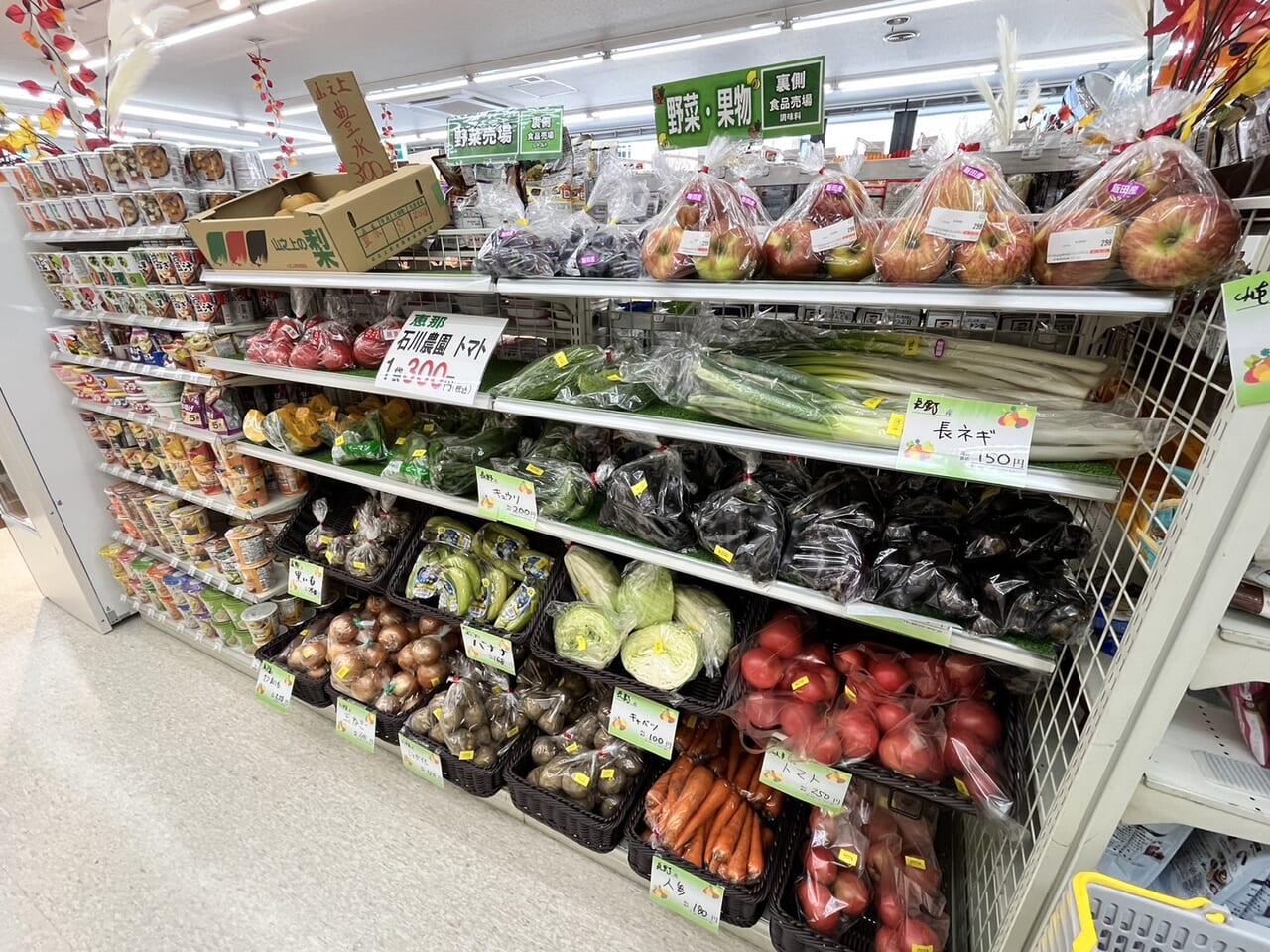 多治見市デイリーリニューアル