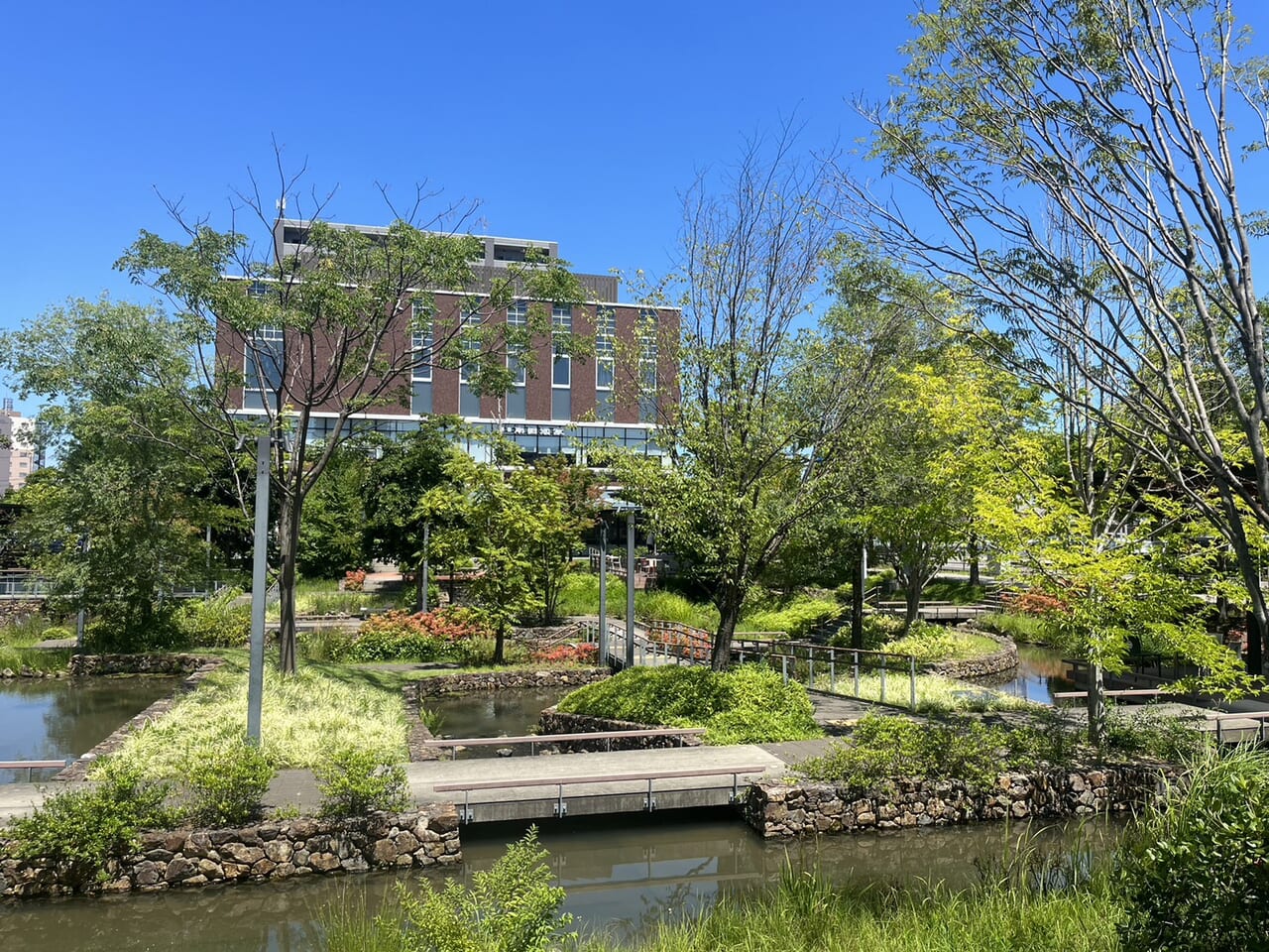 多治見市オータムフェス