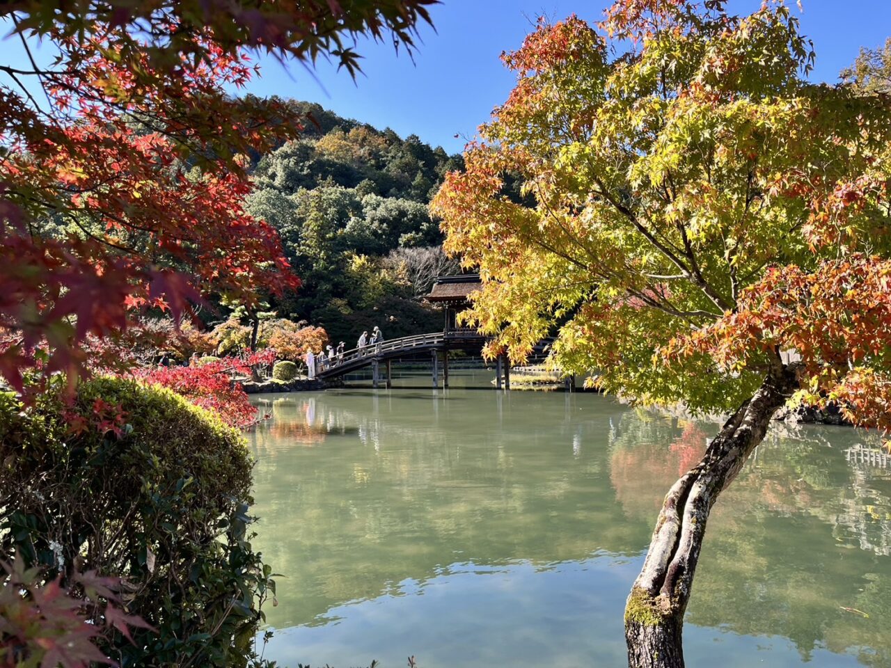 多治見市虎渓山もみじ