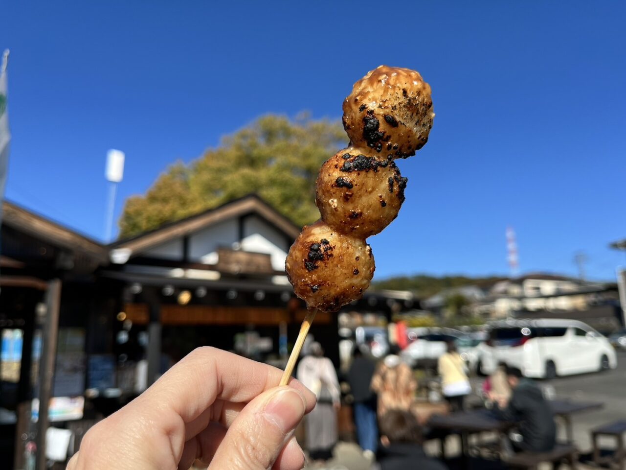 多治見市虎渓山もみじ