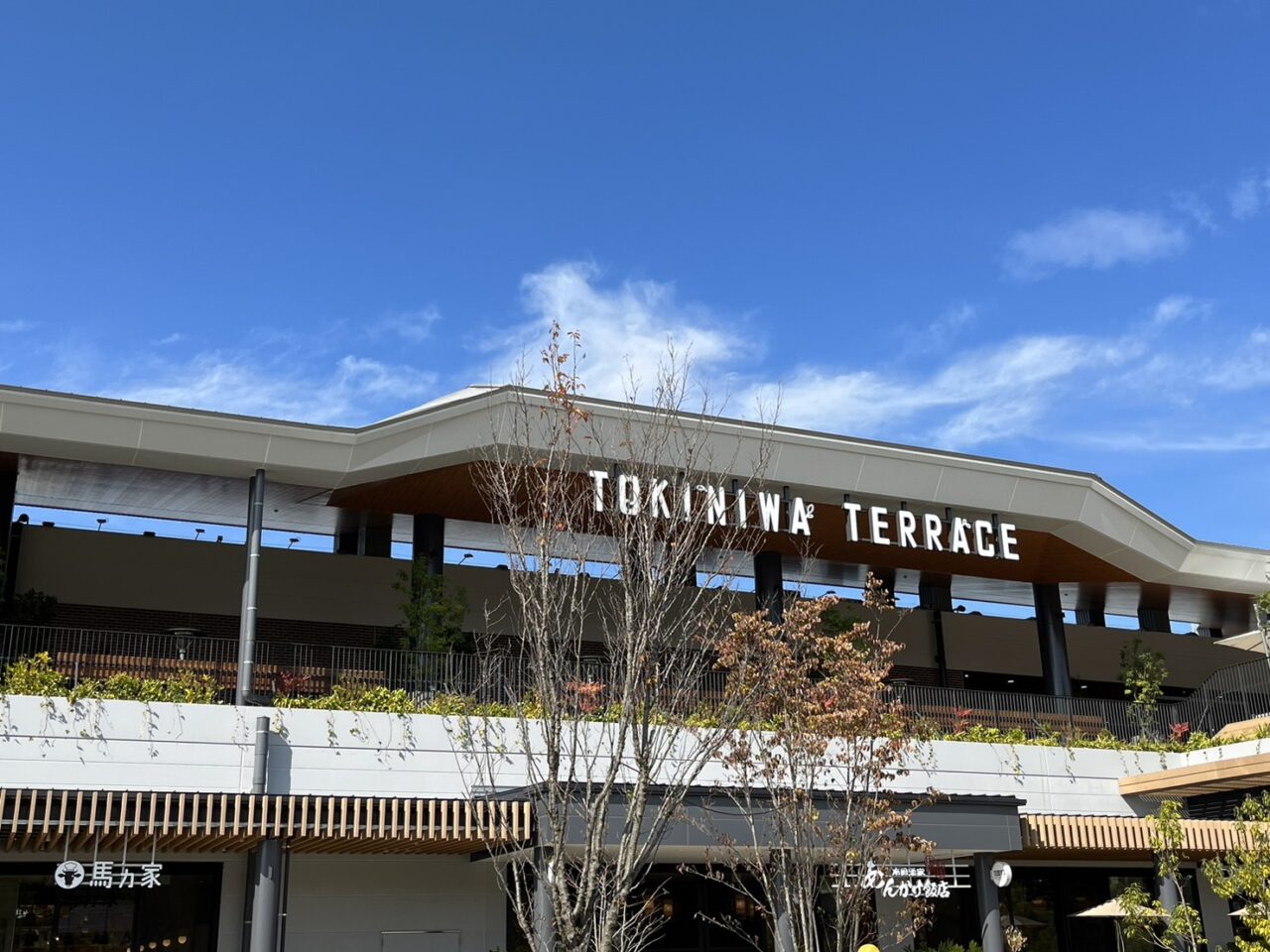 土岐市小籠包