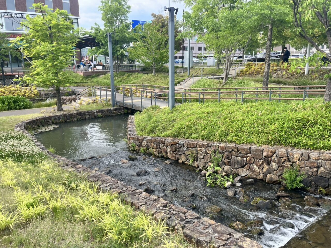 多治見市オーガニック3年目
