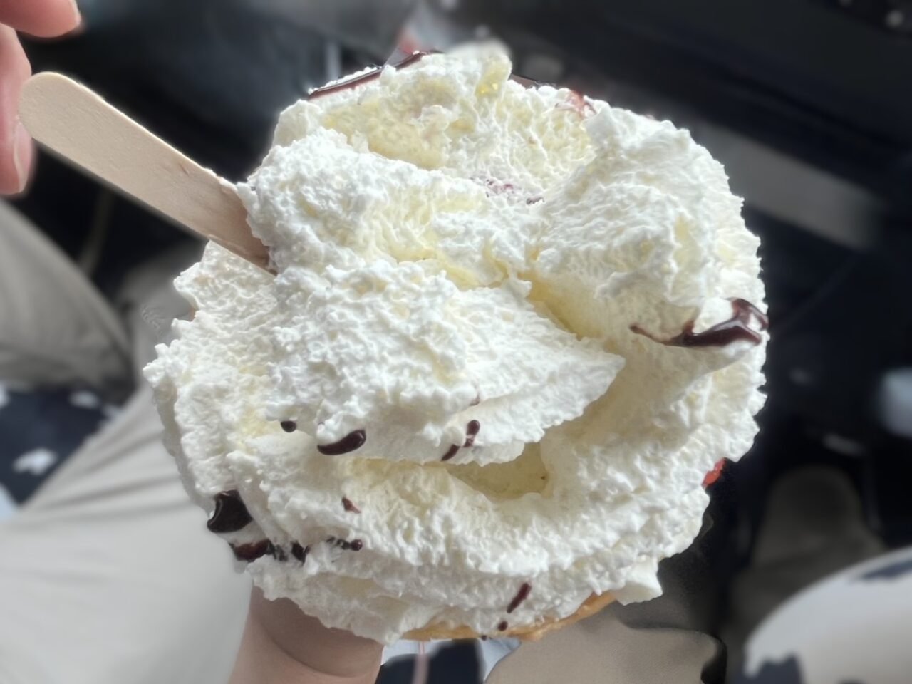 多治見市究極の生クリーム