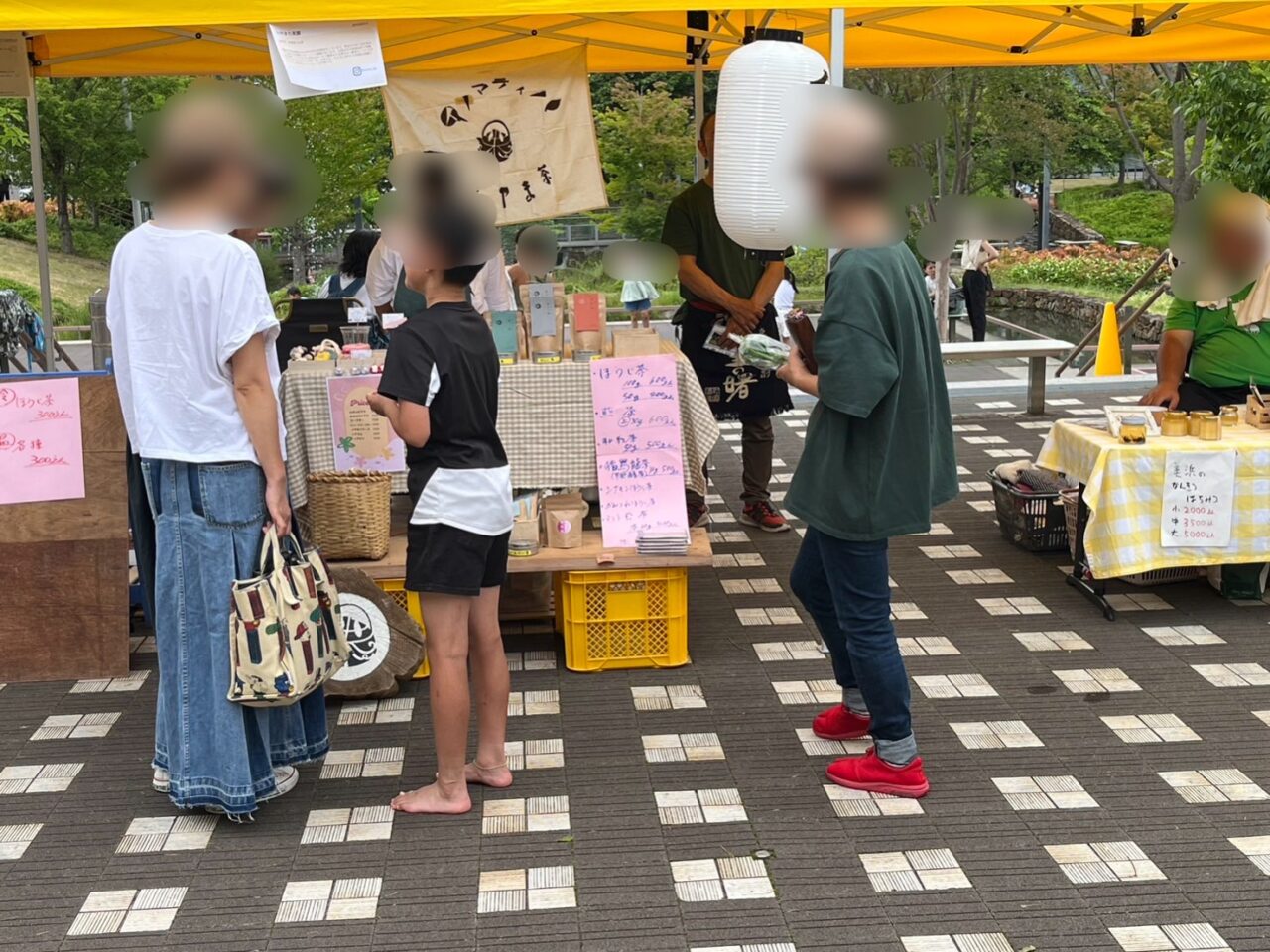 多治見市オーガニック3年目
