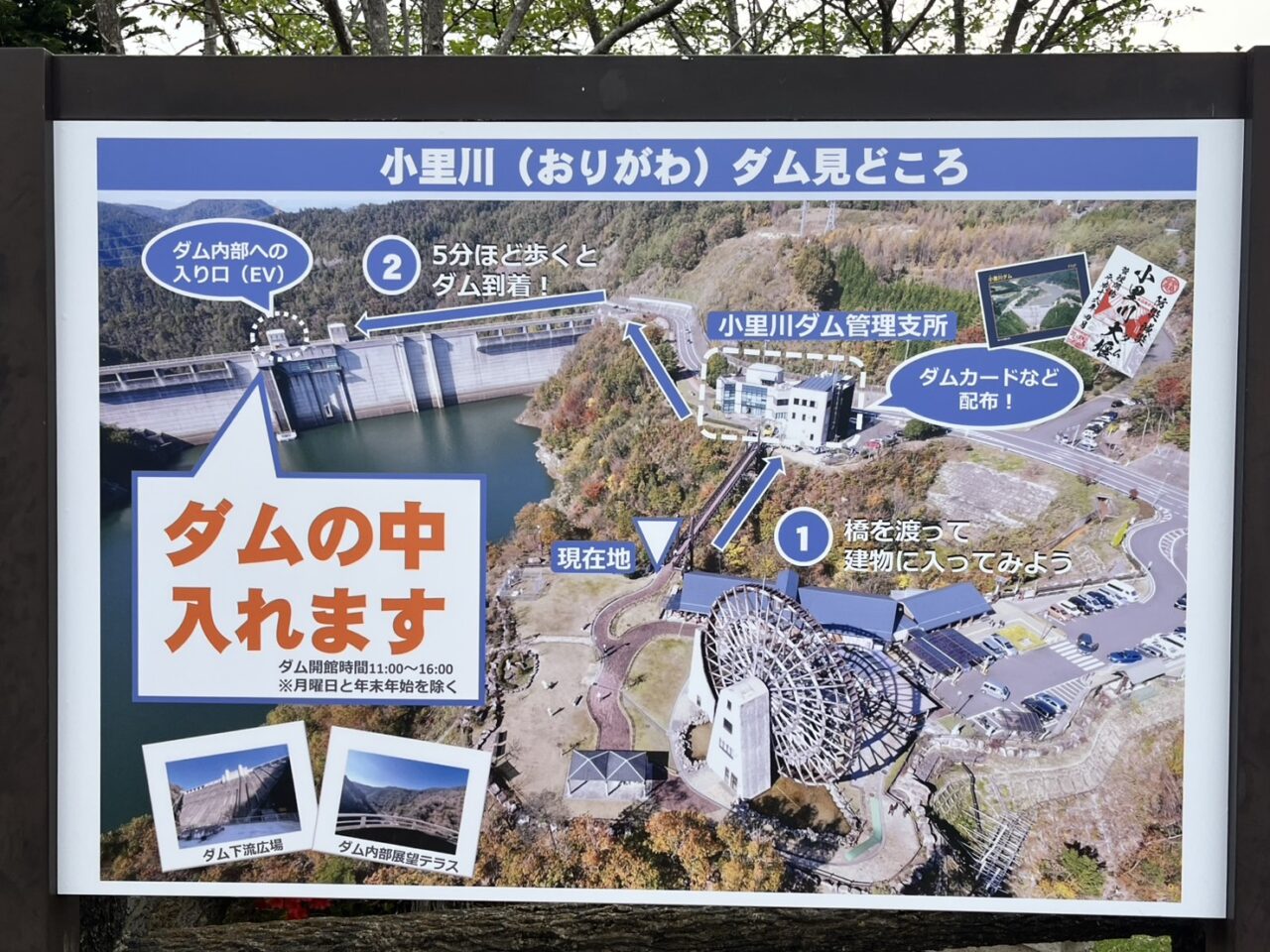 恵那市おばあちゃん市
