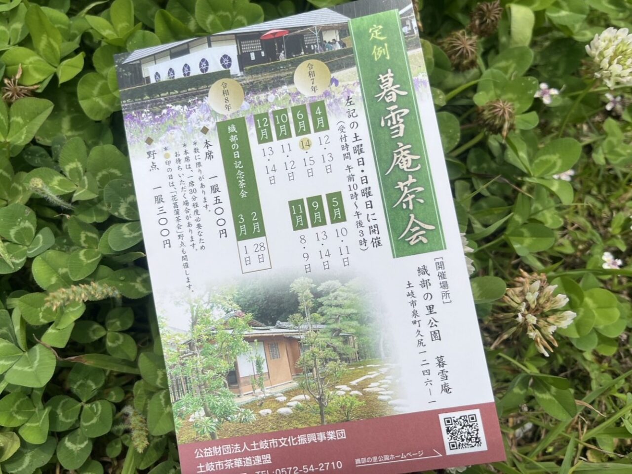 土岐市2025花菖蒲