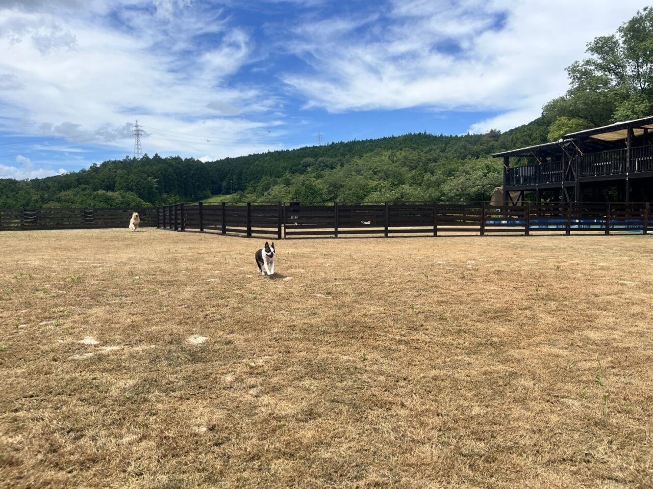 恵那市ボーの森