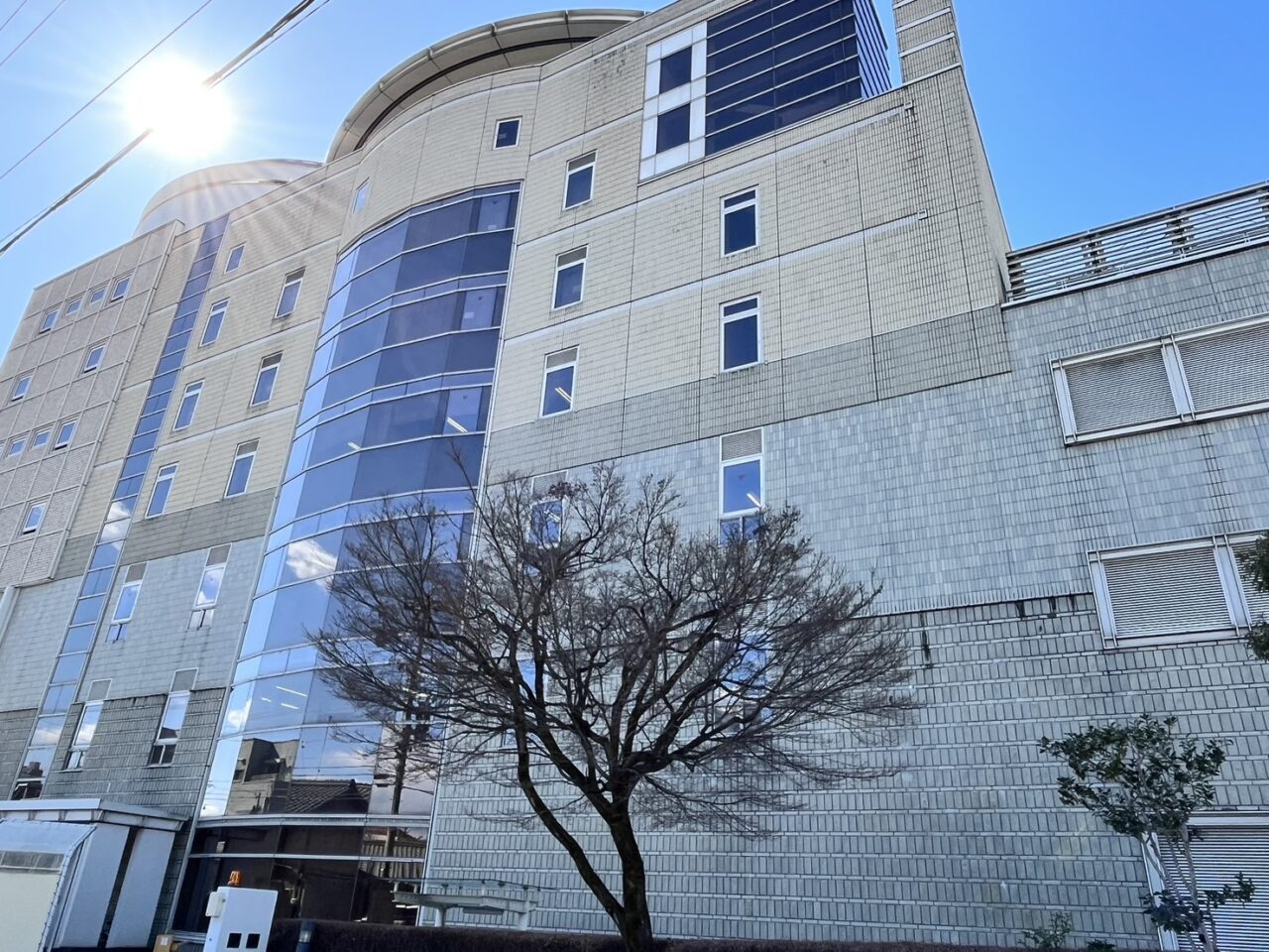 多治見市ござっせ2025
