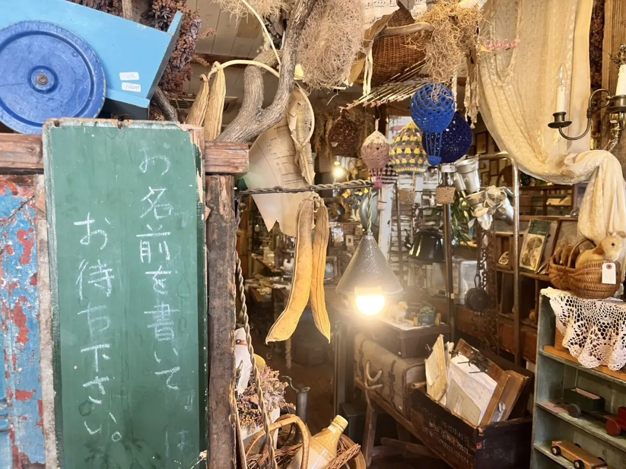 多治見市ひなたぼっこ