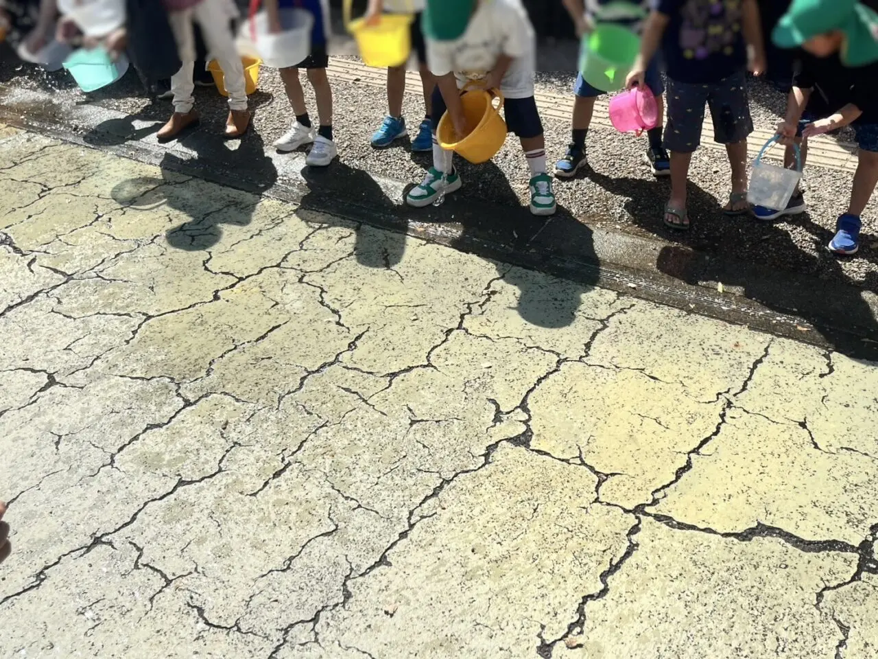 多治見市クールアースデー2025