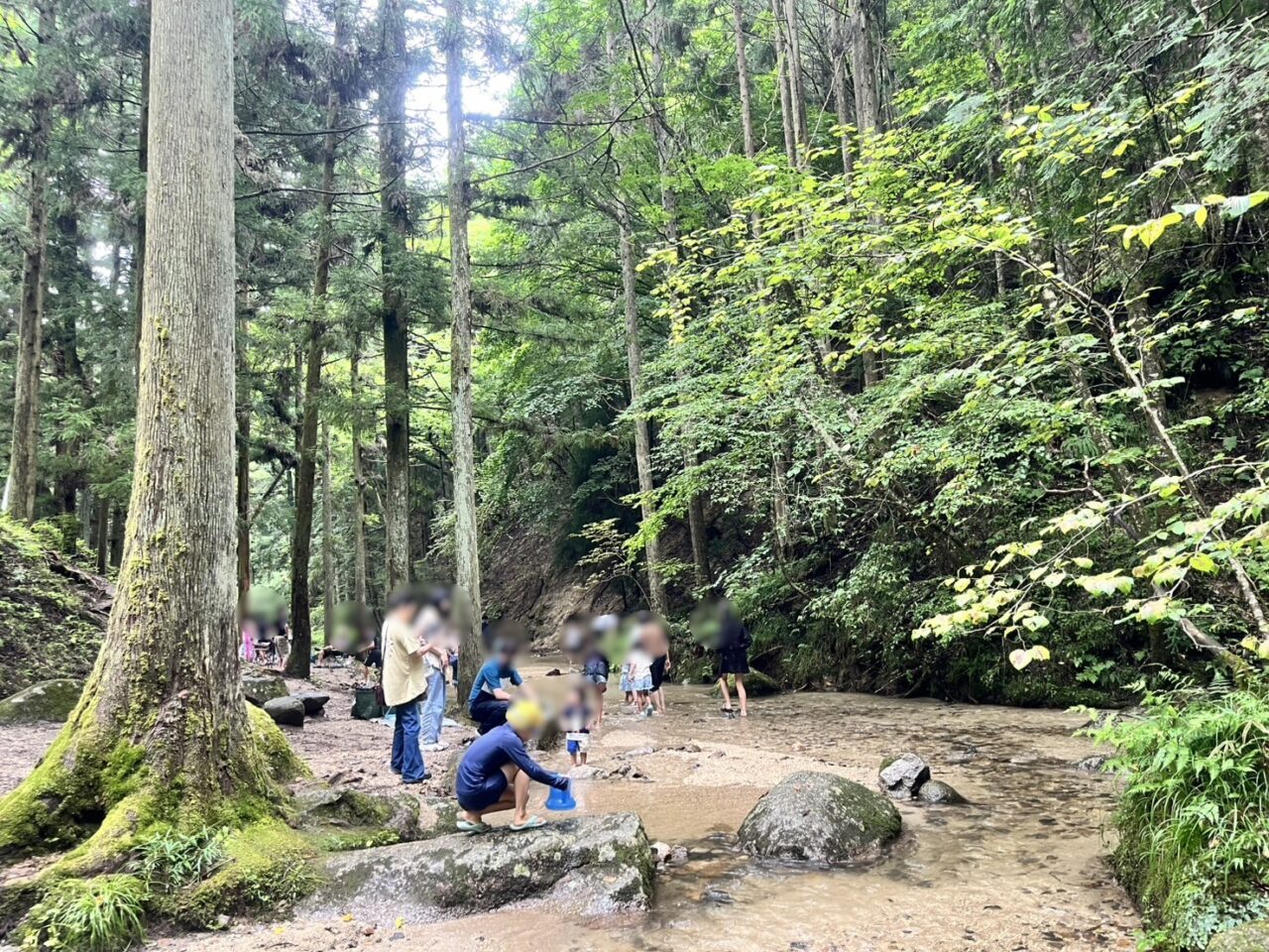 恵那市寿老の滝