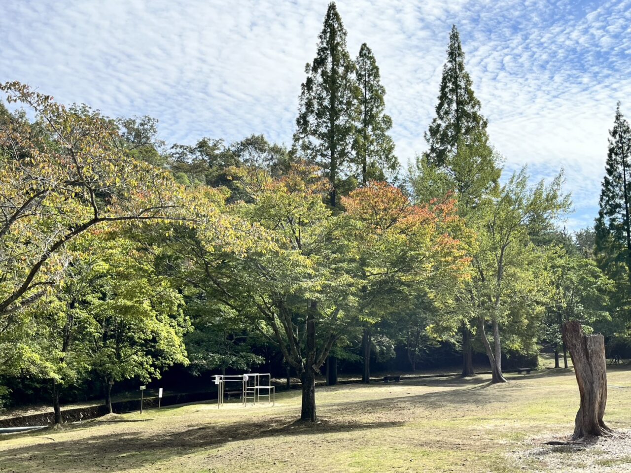 土岐市陶史の森まつり